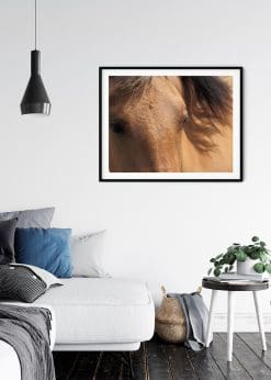 Beautiful Brown Horse