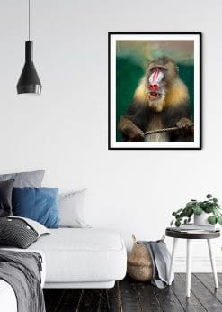 The Blustery Mandrill Ape