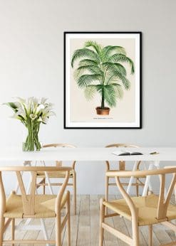 Cocos Leaf Vintage