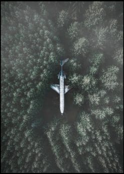 Airline In Green Forest