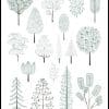 Illustration Of Pine Trees