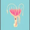 Vintage Umbrella Squid Illustration
