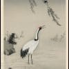 Portrait of a Japanese Crane Illustration