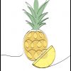 Pineapple by Sanny Lundgren