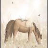 Horse Girl by Hanna Sandgren